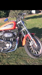 Harley Davidson 2003 883 Anniversary Sportster 